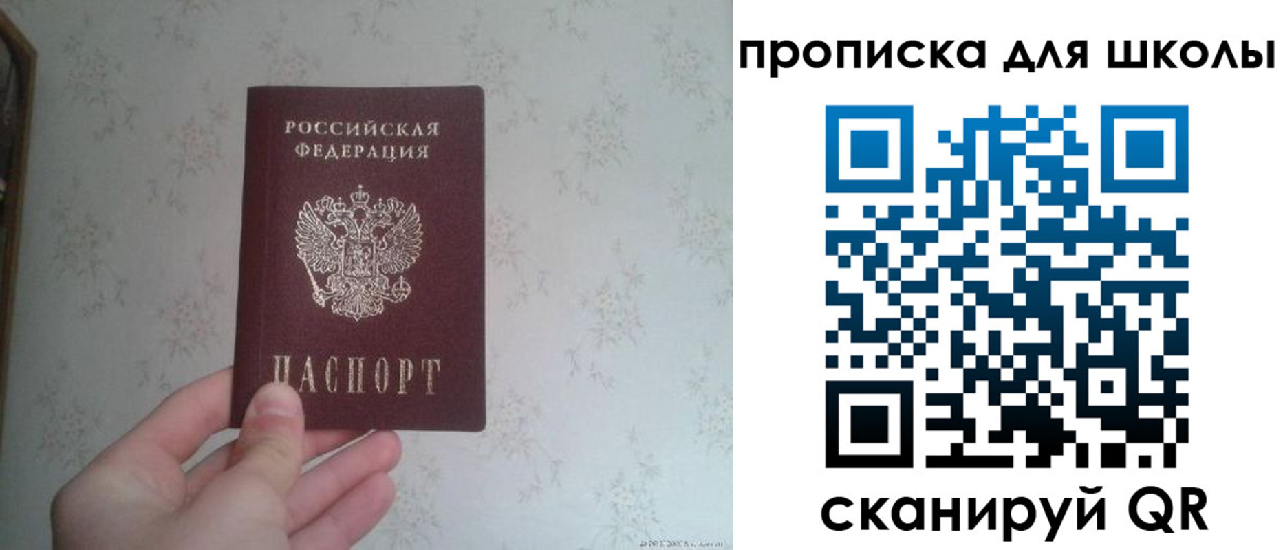 прописка в квартире в Мытищах
